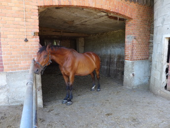 Stall1